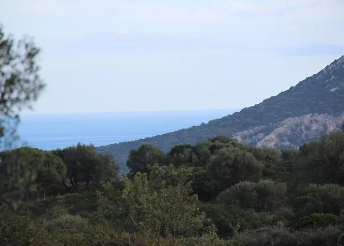 Tenute Efis 3* Galtellì