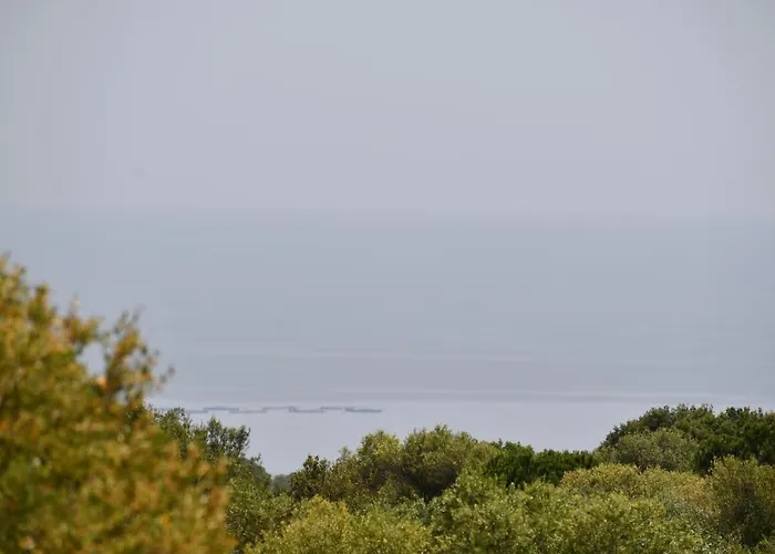 Tenute Efis 3* Galtellì