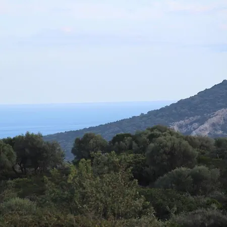 Tenute Efis 3* Galtellì