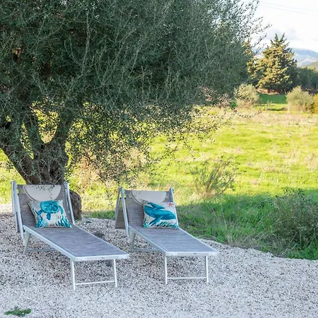 Tenute Efis Bed & Breakfast Galtellì